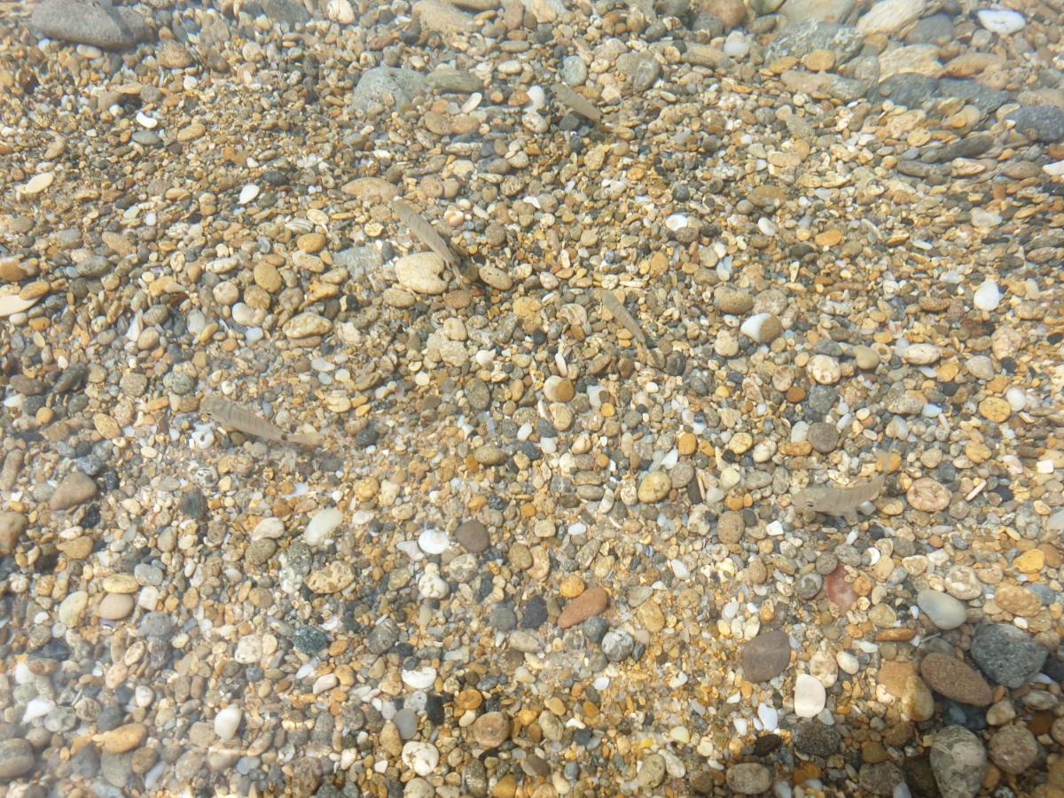 Resort ' Njulella Migliarello Dış mekan fotoğraf